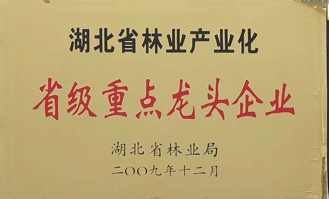 省林業(yè)產業(yè)化重點龍頭企業(yè)（2009.12).jpg